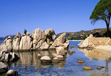 AC米兰足球俱乐部官网能为球迷提供哪些独特体验？